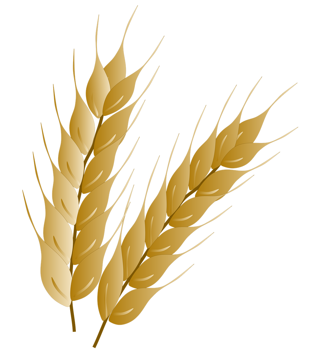 assortedsunflecks-wheat-5834926_1280