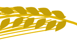 clker-free-vector-images-barley-303209_1280