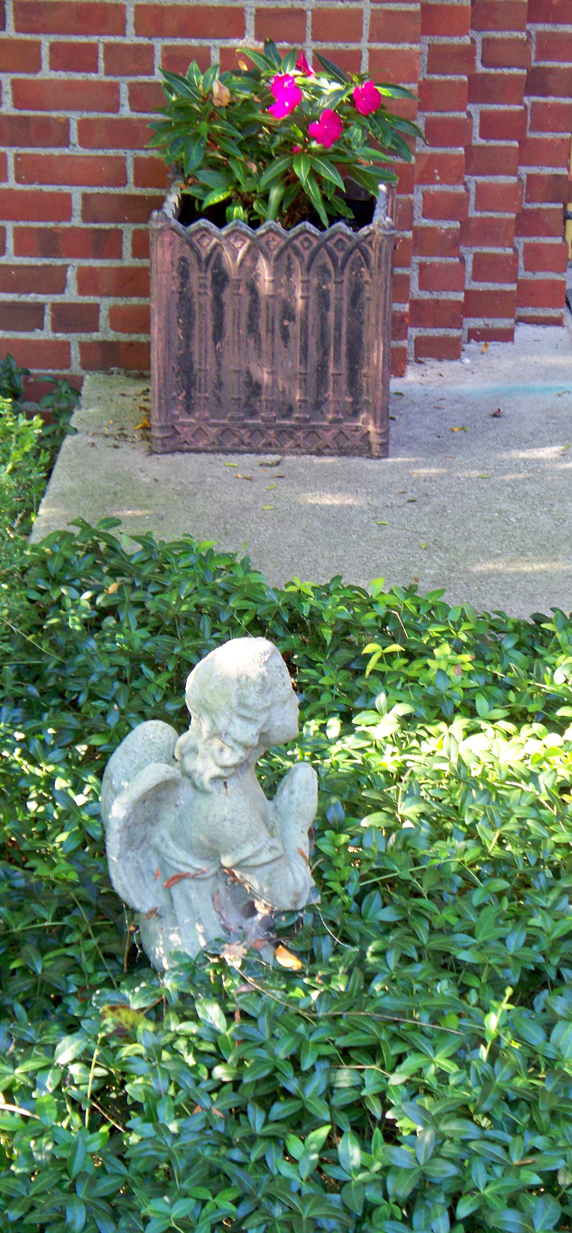 View '20250929_Angel_in_Greens_and_Flowers' in a new window 20250929_Angel_in_Greens_and_Flowers