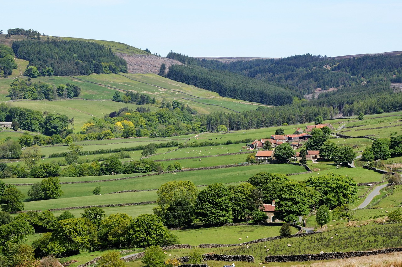 Yorkshire Moors